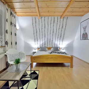 https://kurosowy-potok-noclegi-zakopane-centrum.zakopanehotels.org